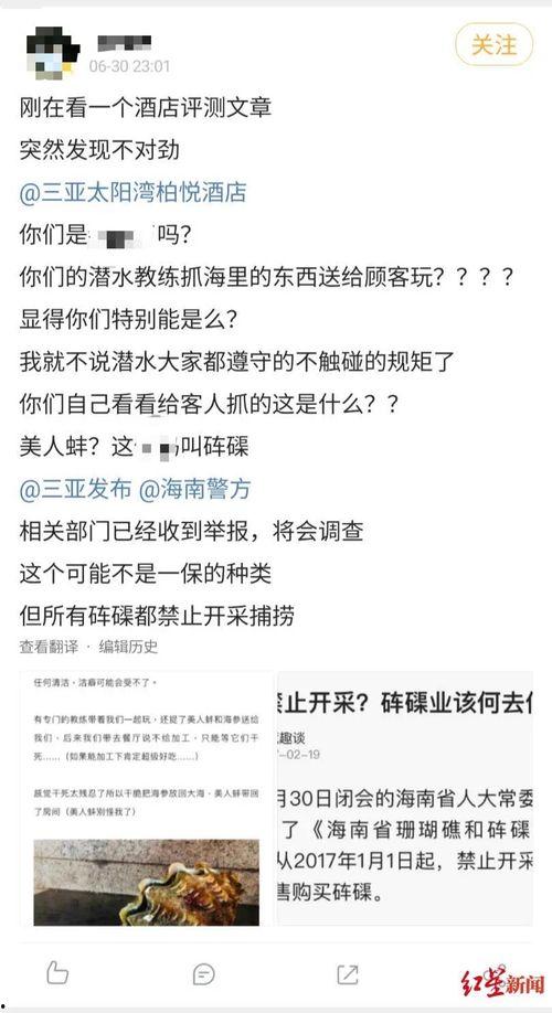 海南网友爆料新闻视频,惊现神秘新闻事件，视频曝光惊人内幕！  第2张