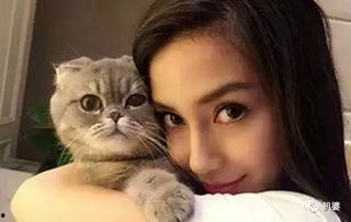 娱乐圈吃瓜猫咪是谁呀,揭秘网络红星的幕后推手 第2张 娱乐圈吃瓜猫咪是谁呀,揭秘网络红星的幕后推手 第2张